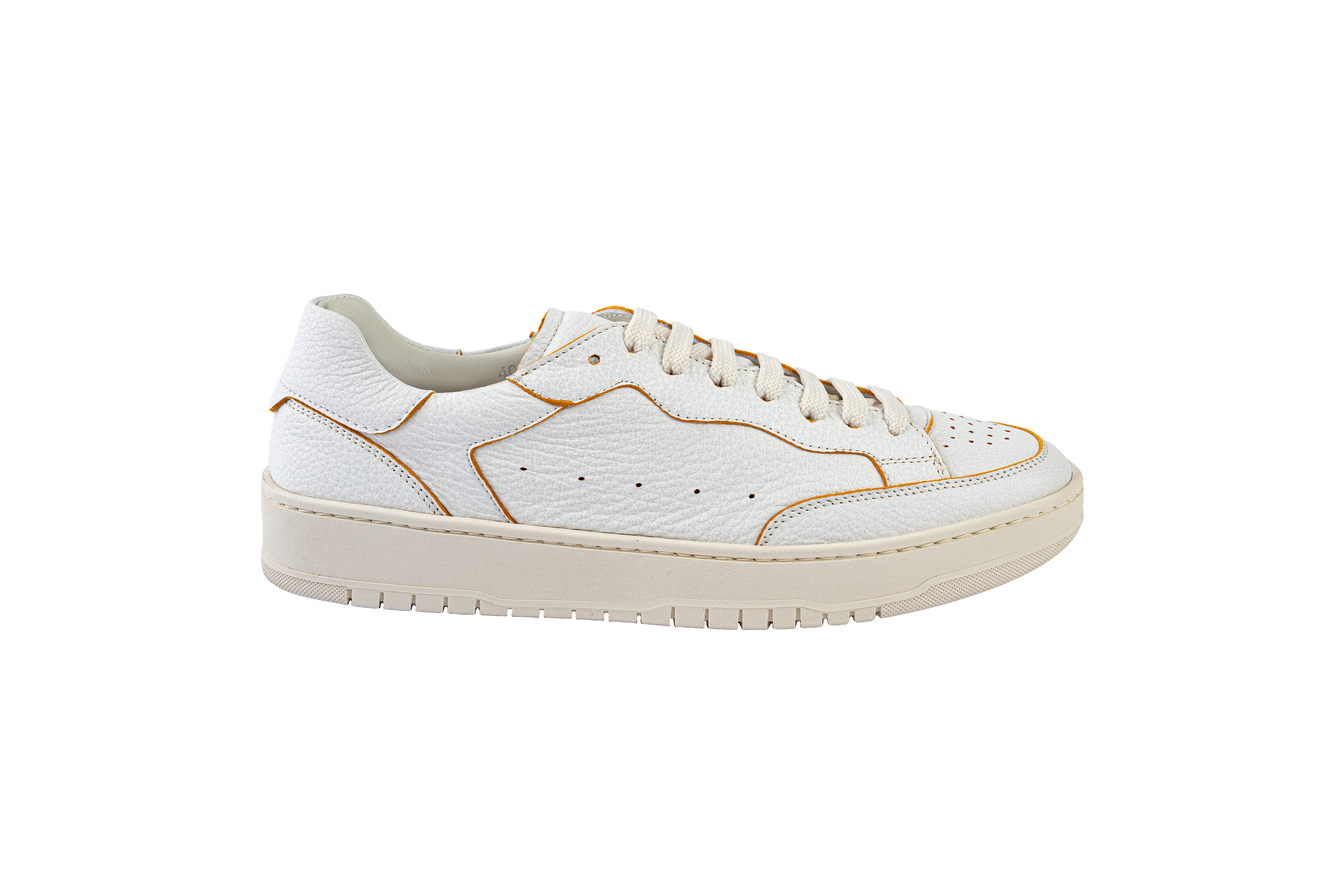 Limited Edition Sneakers