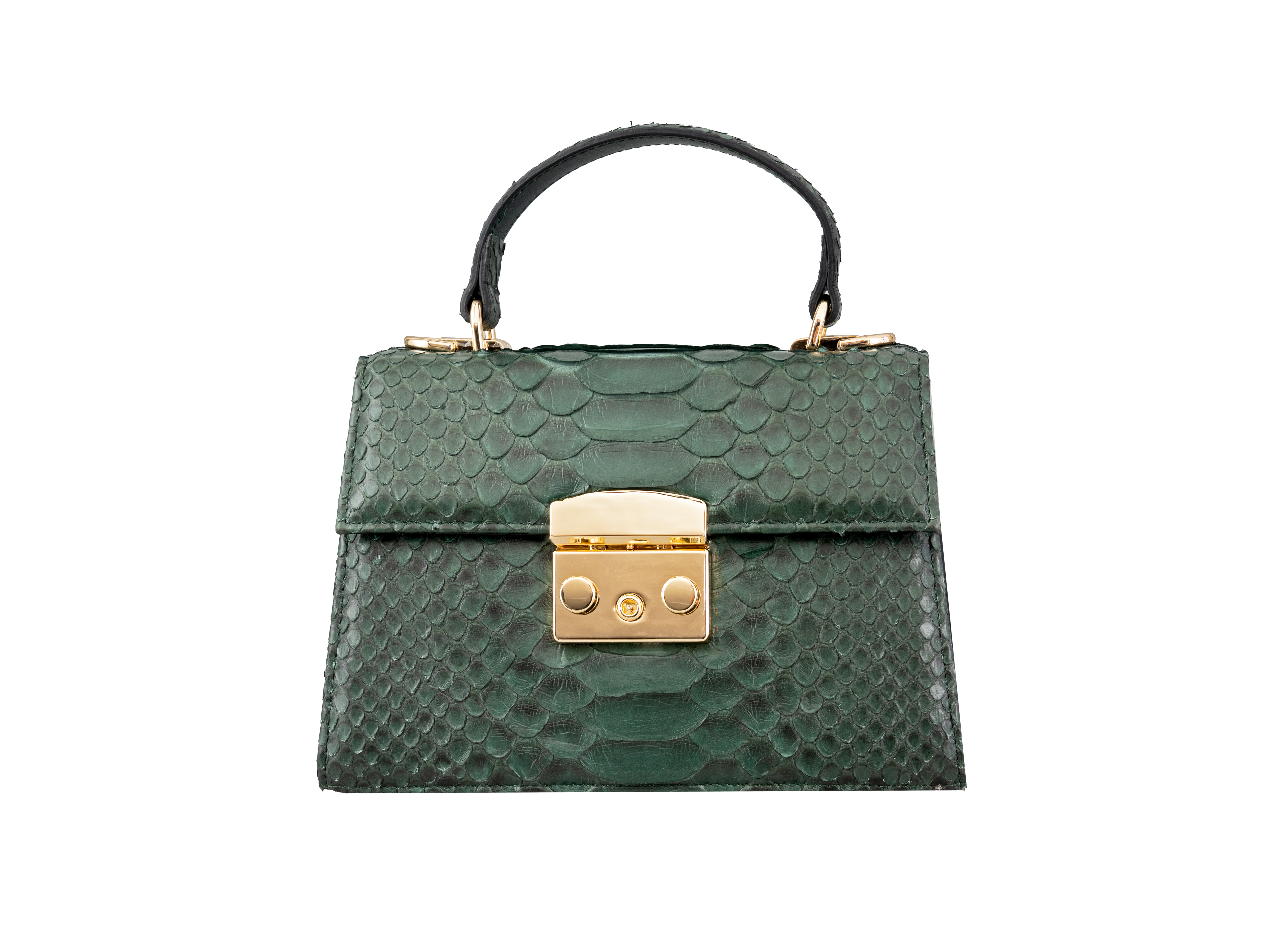 Luxora Python Leather Bag