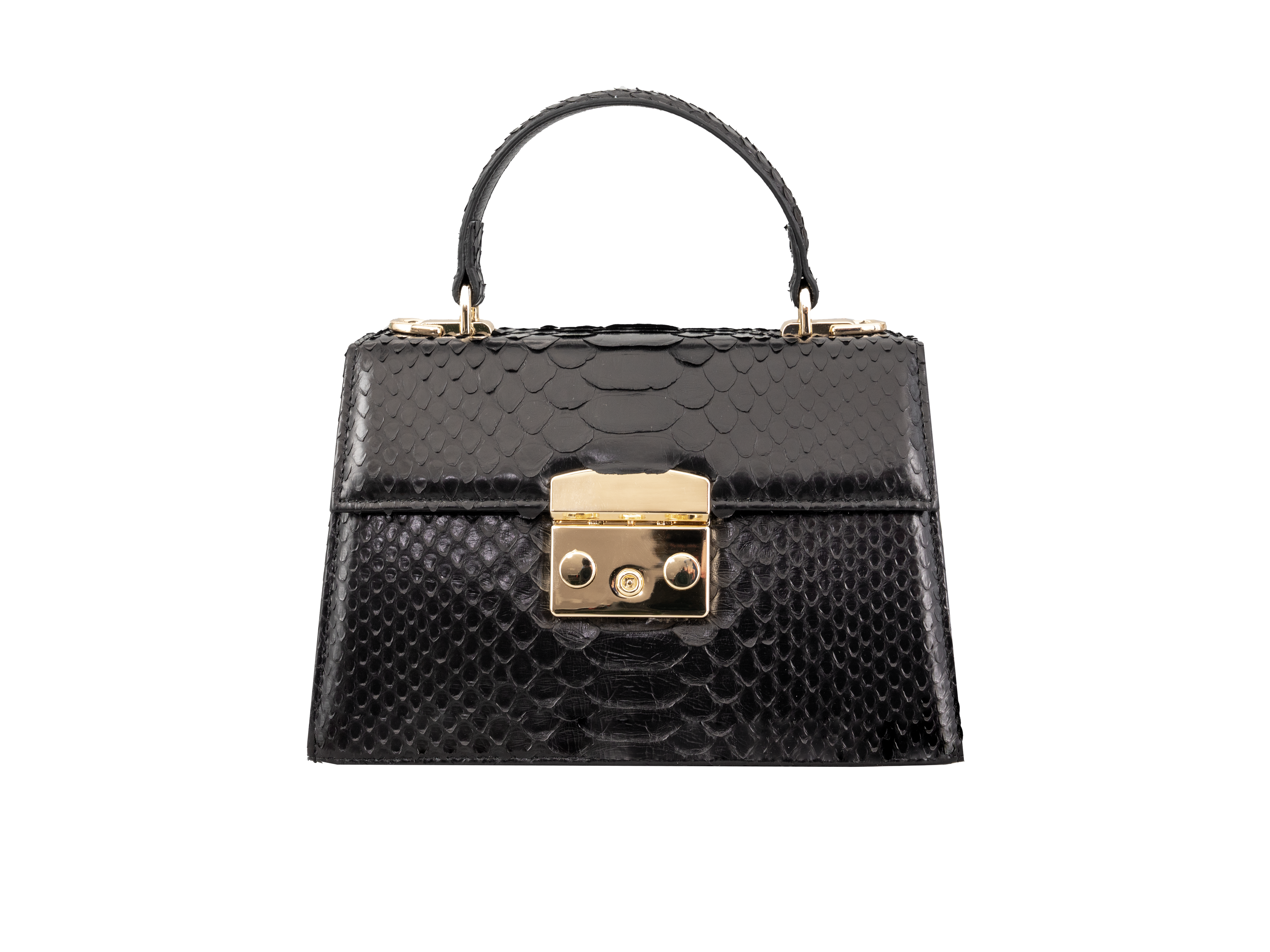 Luxora Python Leather Bag