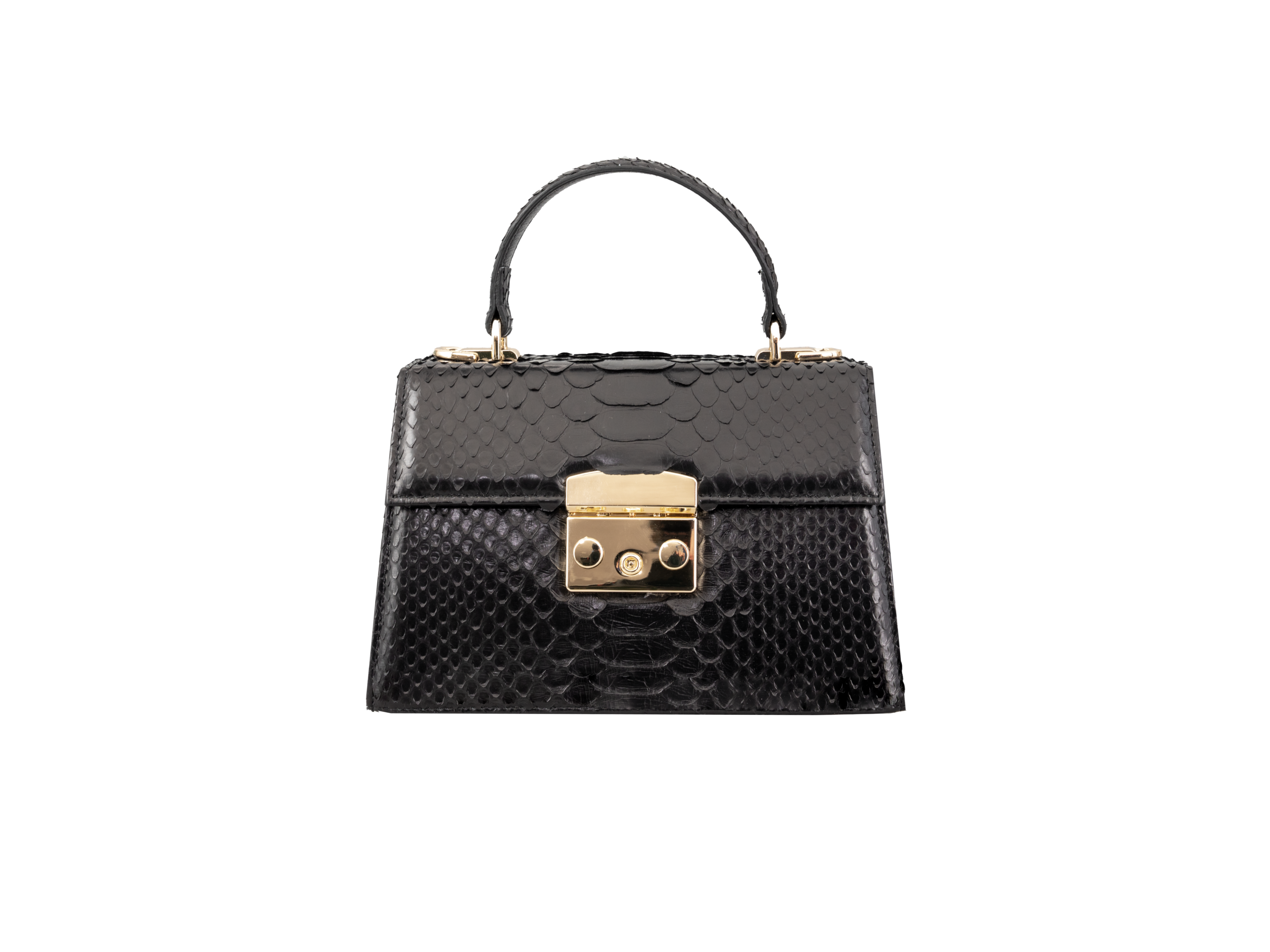 Black Luxora Python Leather Bag