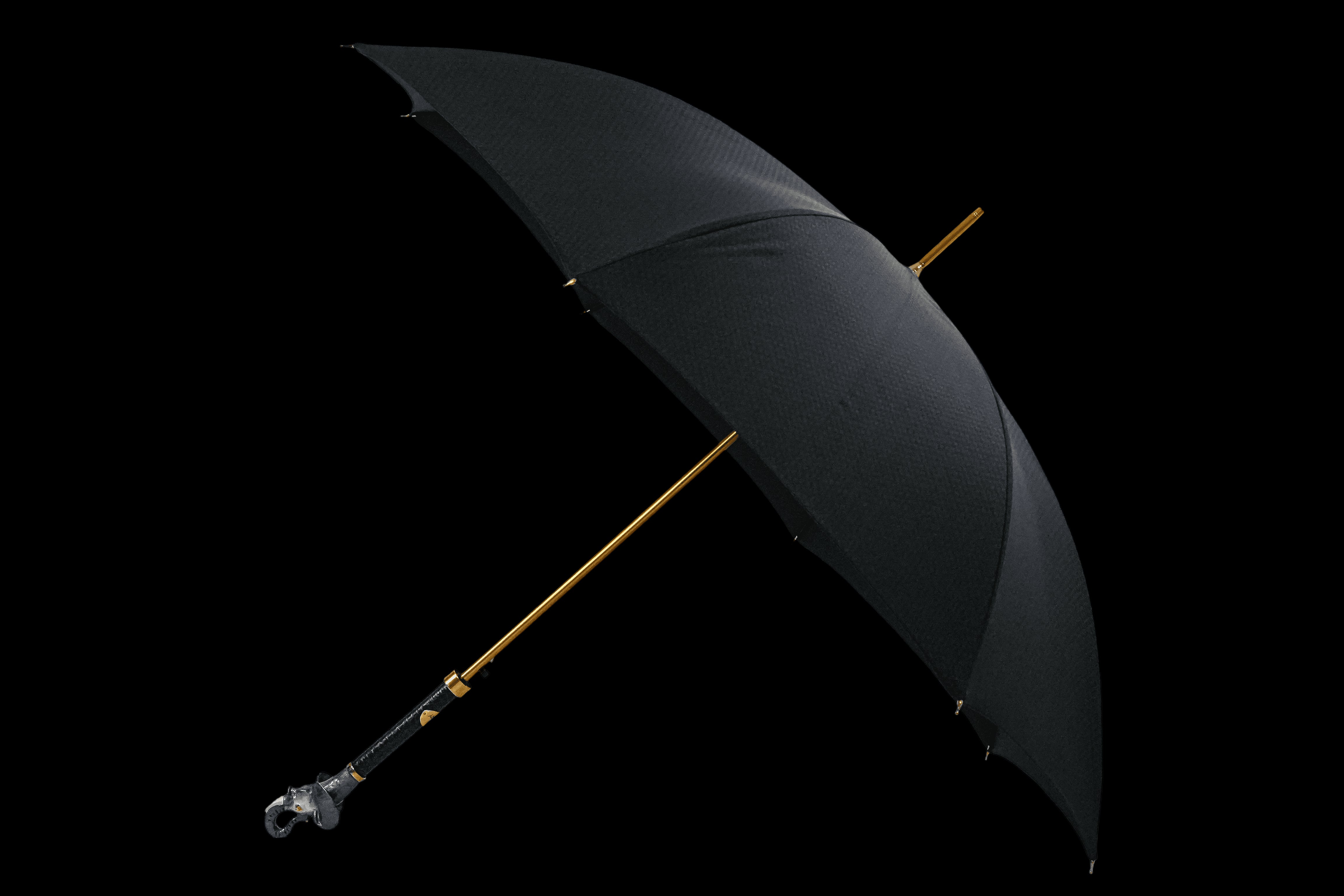 Image of Luxury Umbrella & Shoehorn Set