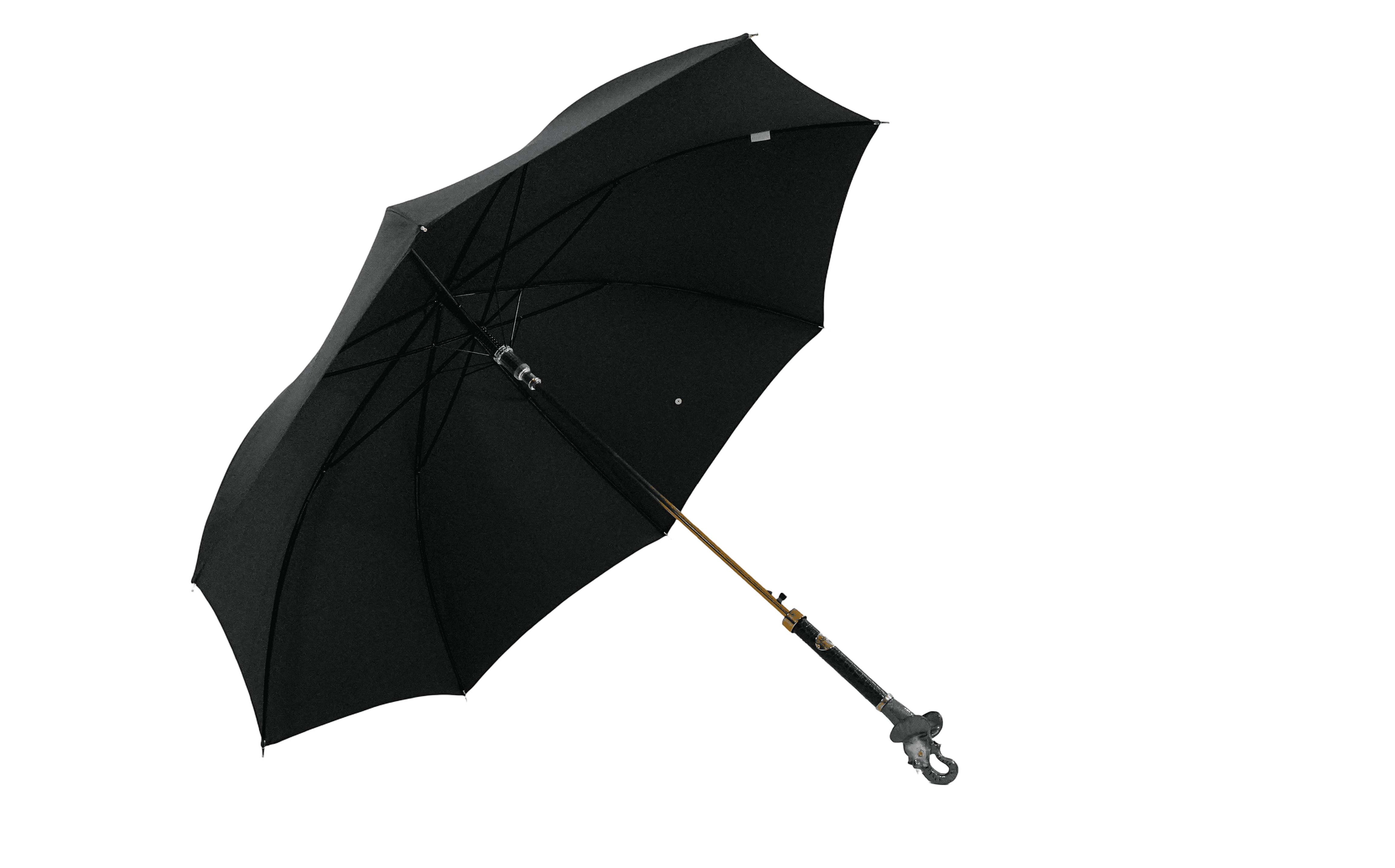 Image of Luxury Umbrella & Shoehorn Set