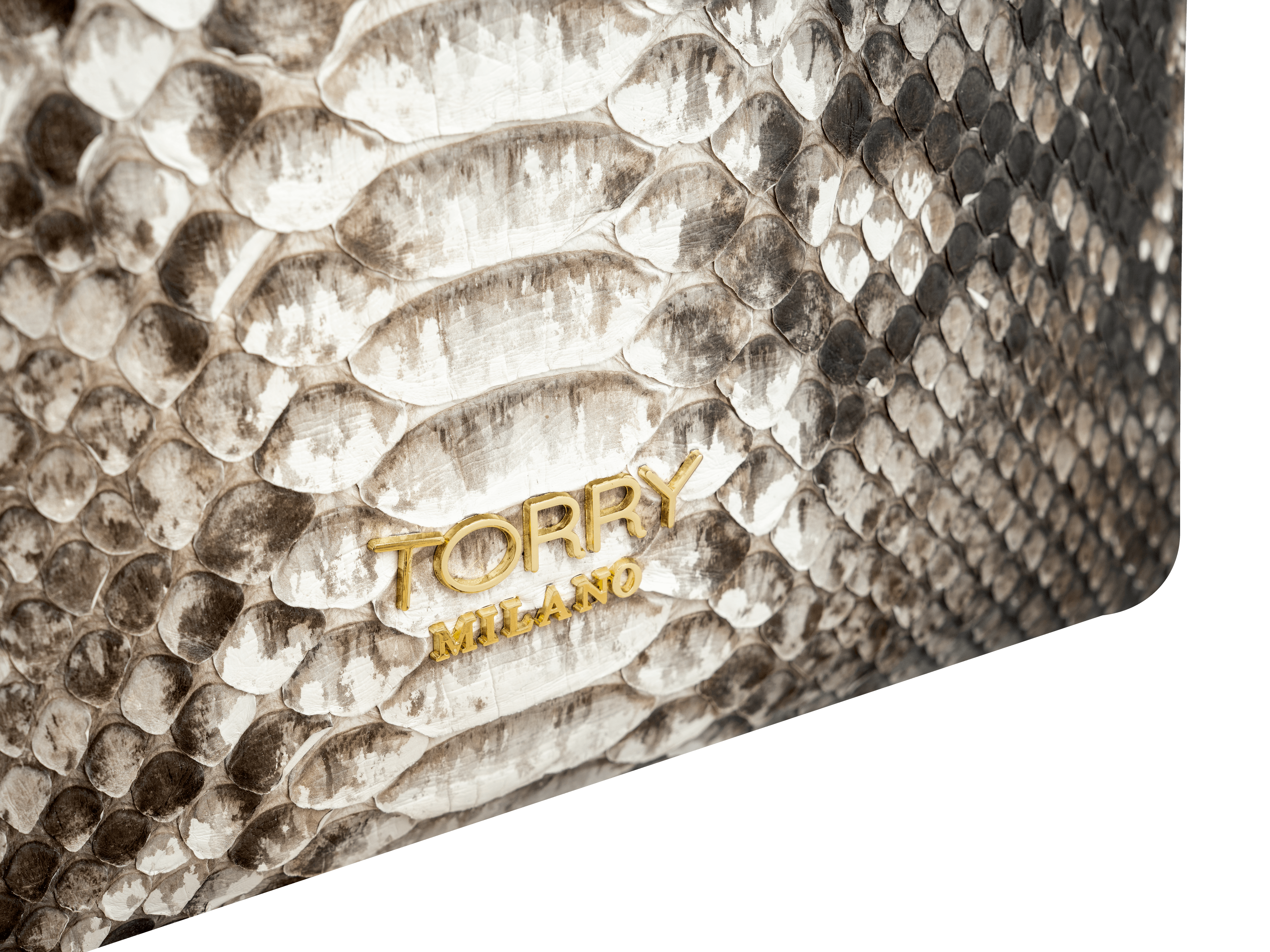 Modern Python Leather Backpack