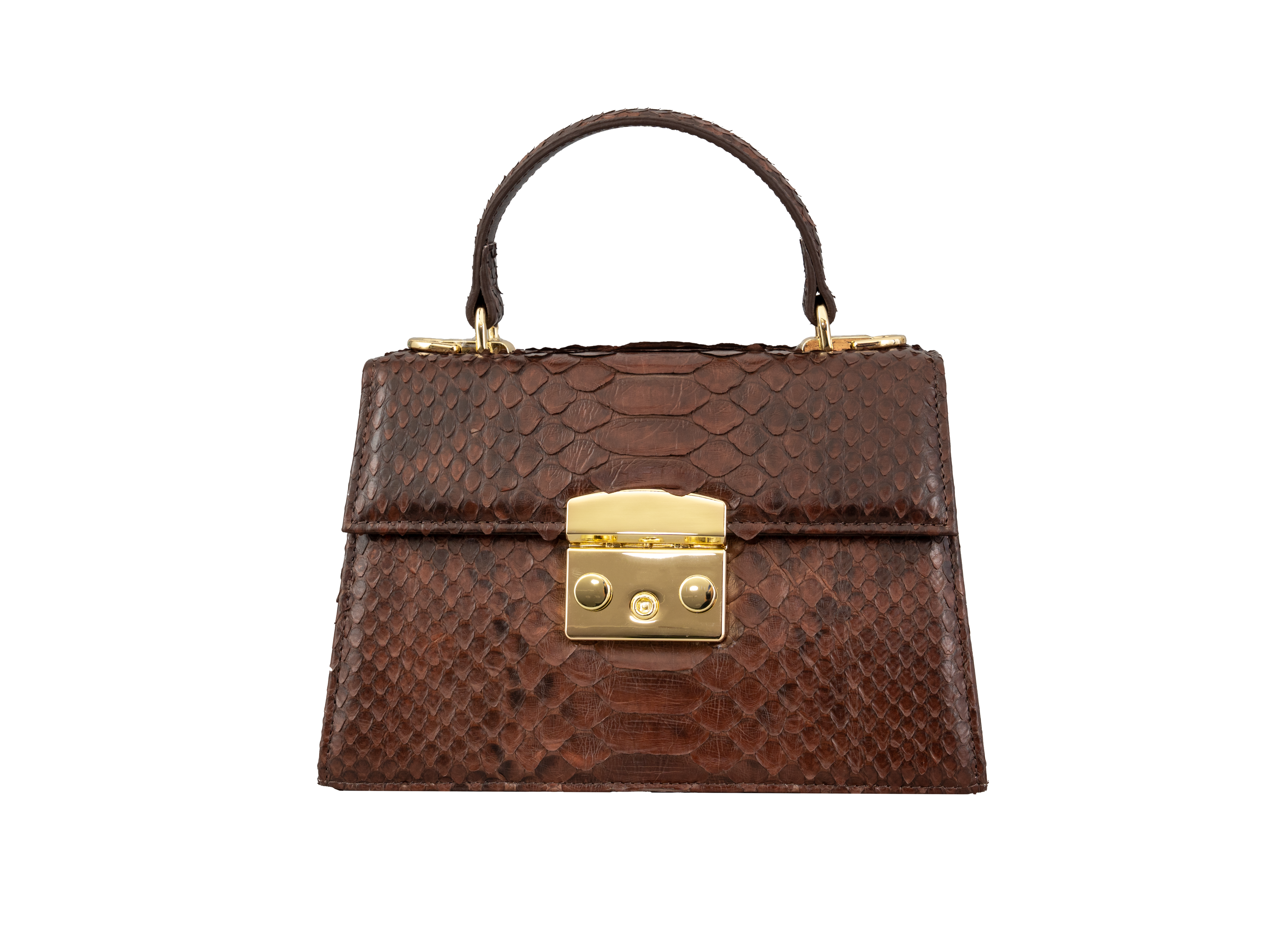 Luxora Python Leather Bag