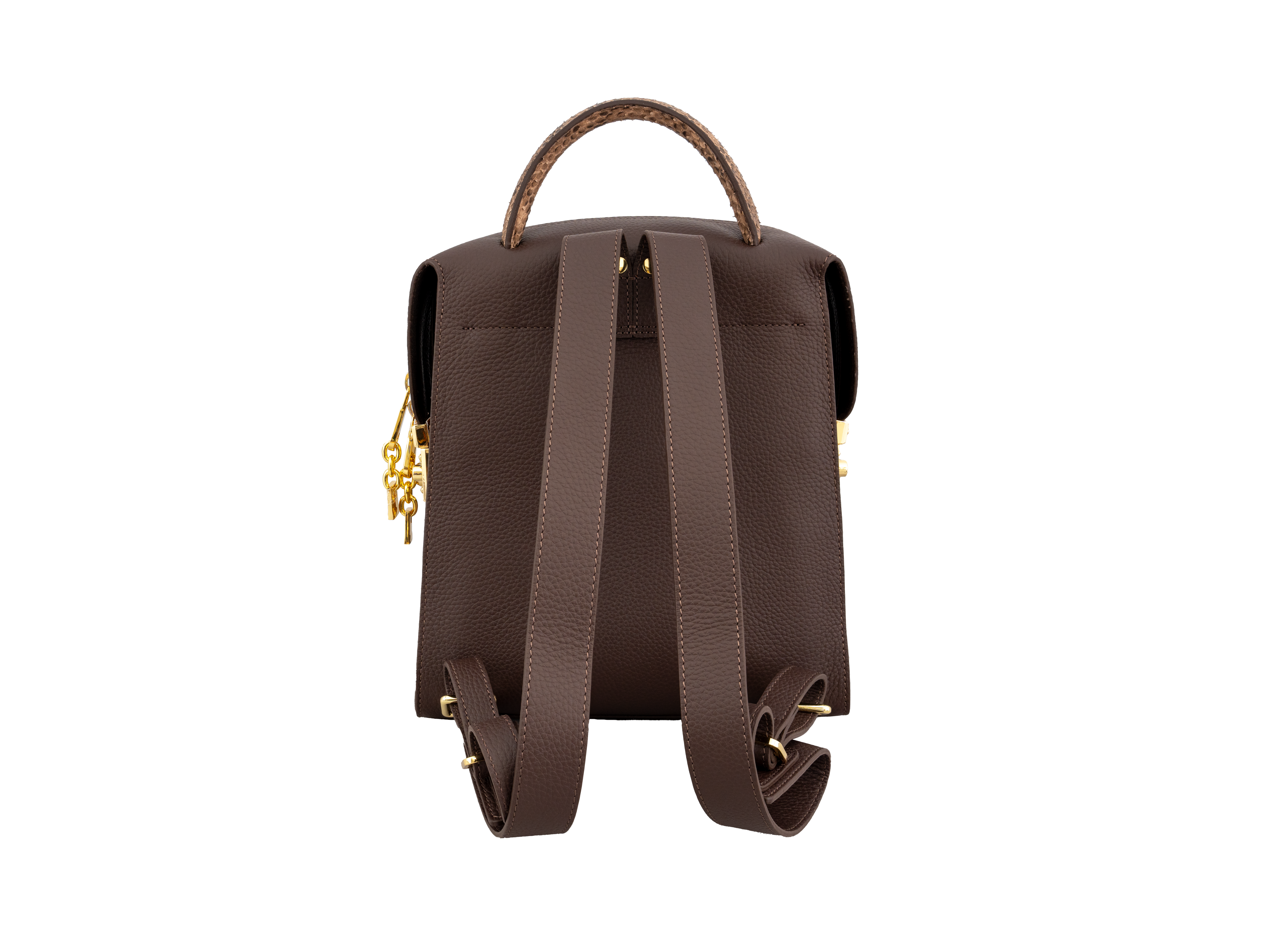 Brown Modern Python Leather Backpack