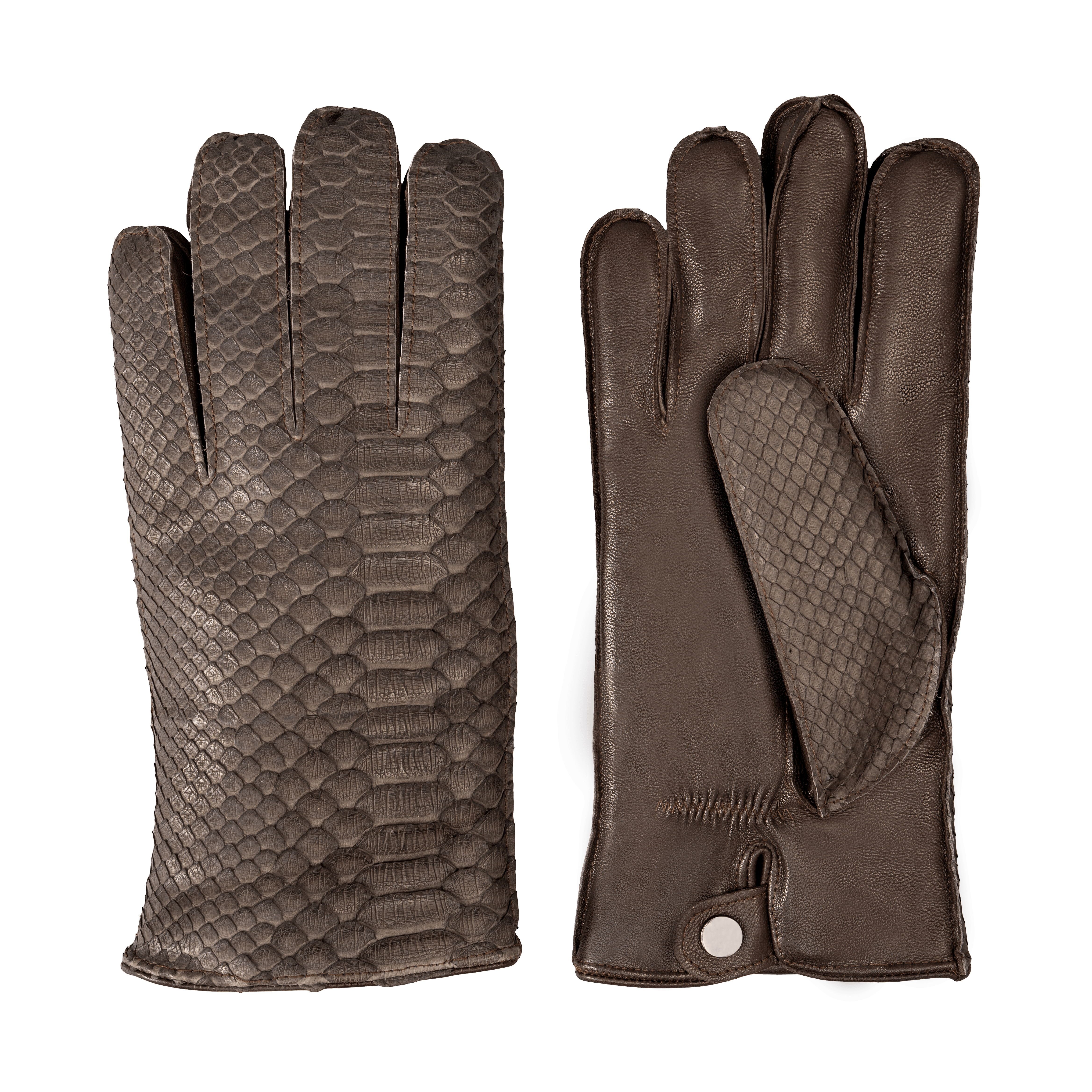 Premium Python Gloves