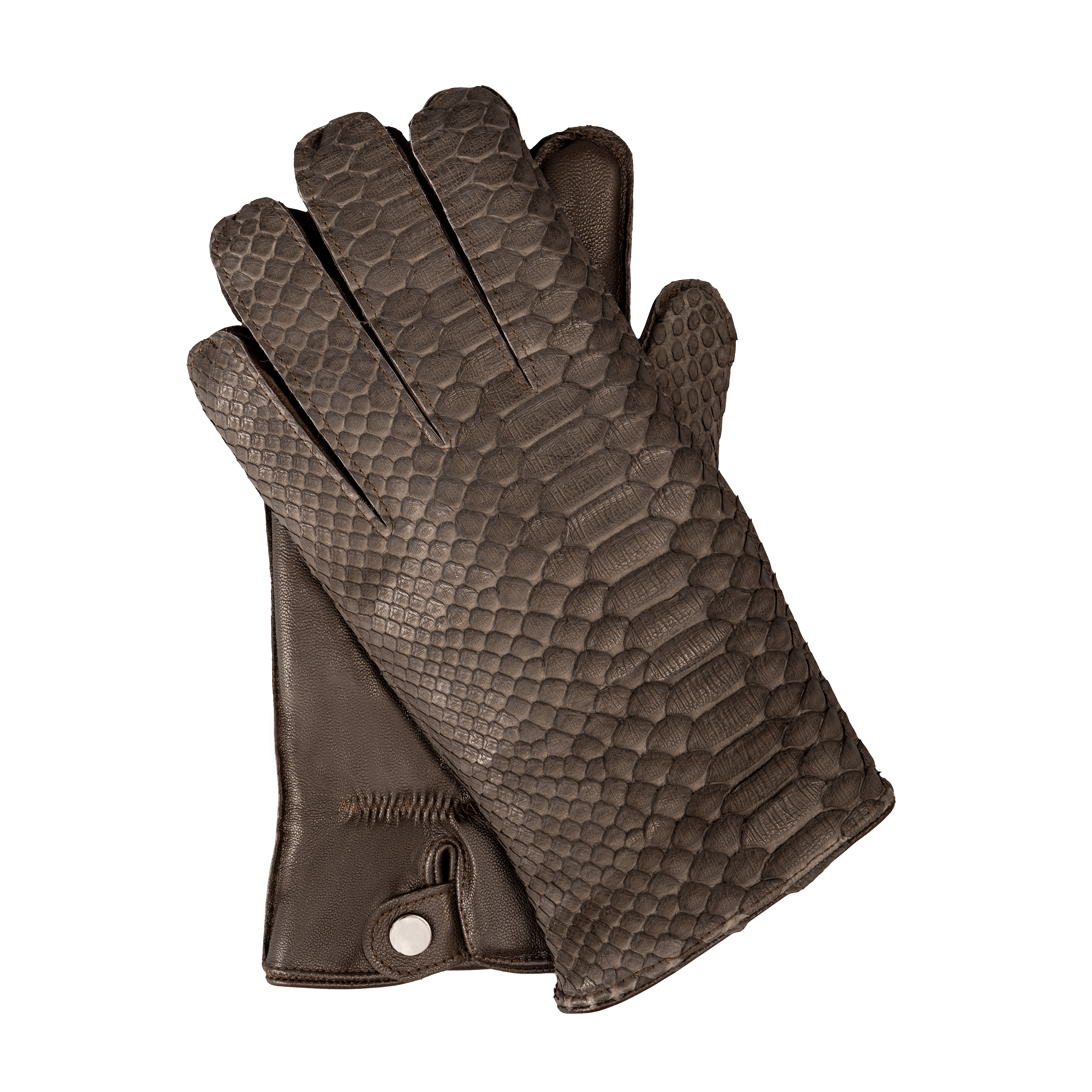 Premium Python Gloves