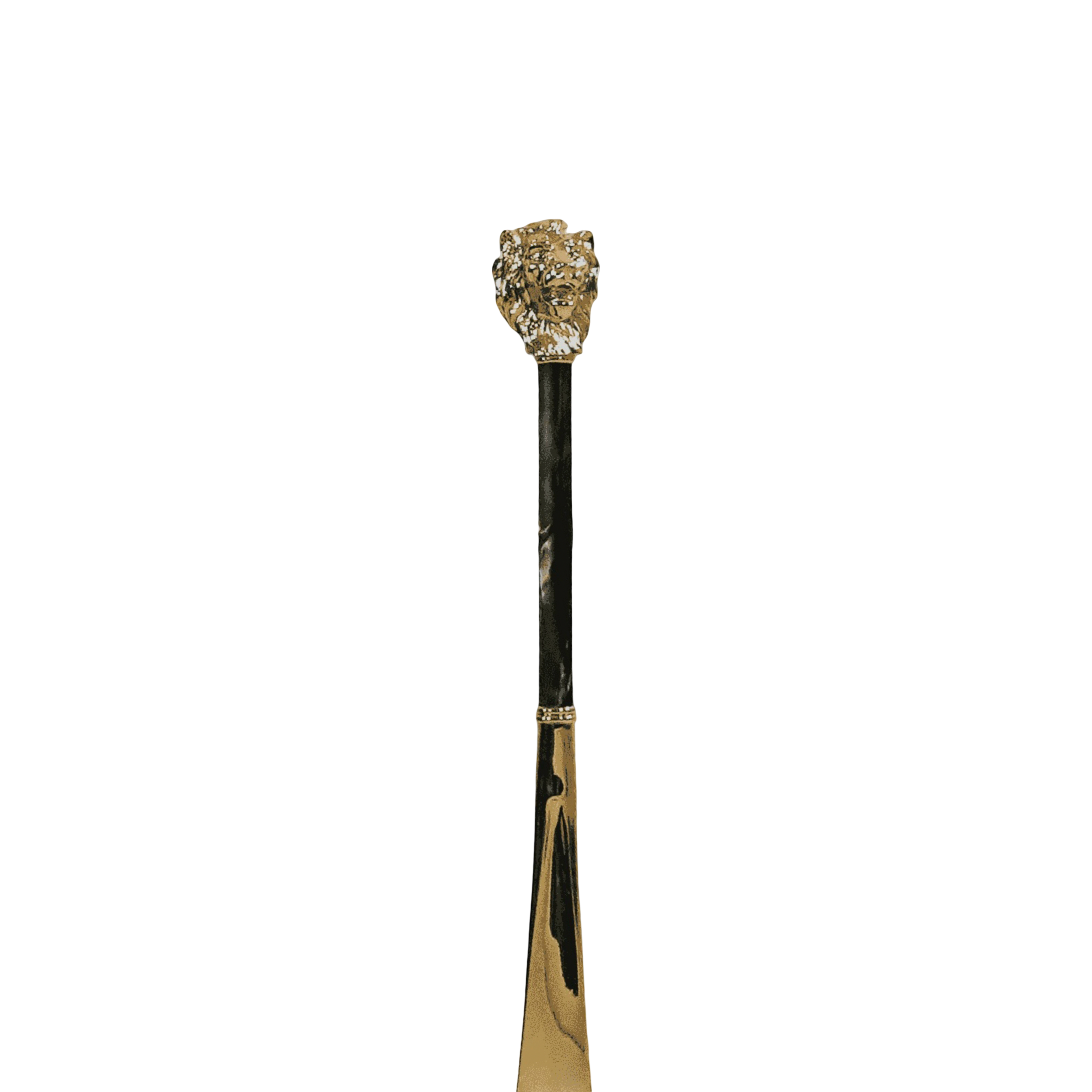 Luxury Shoehorn