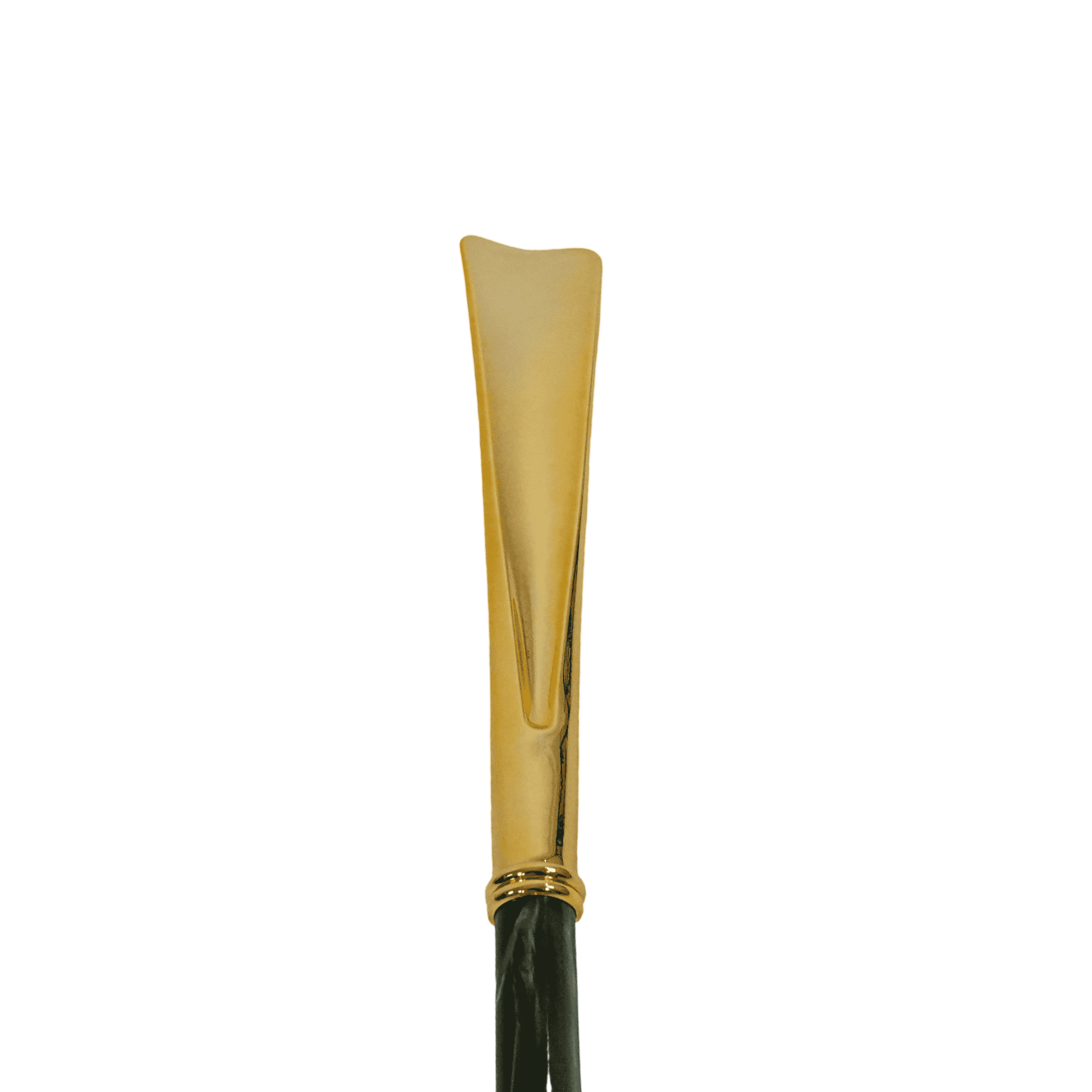 Luxury Shoehorn