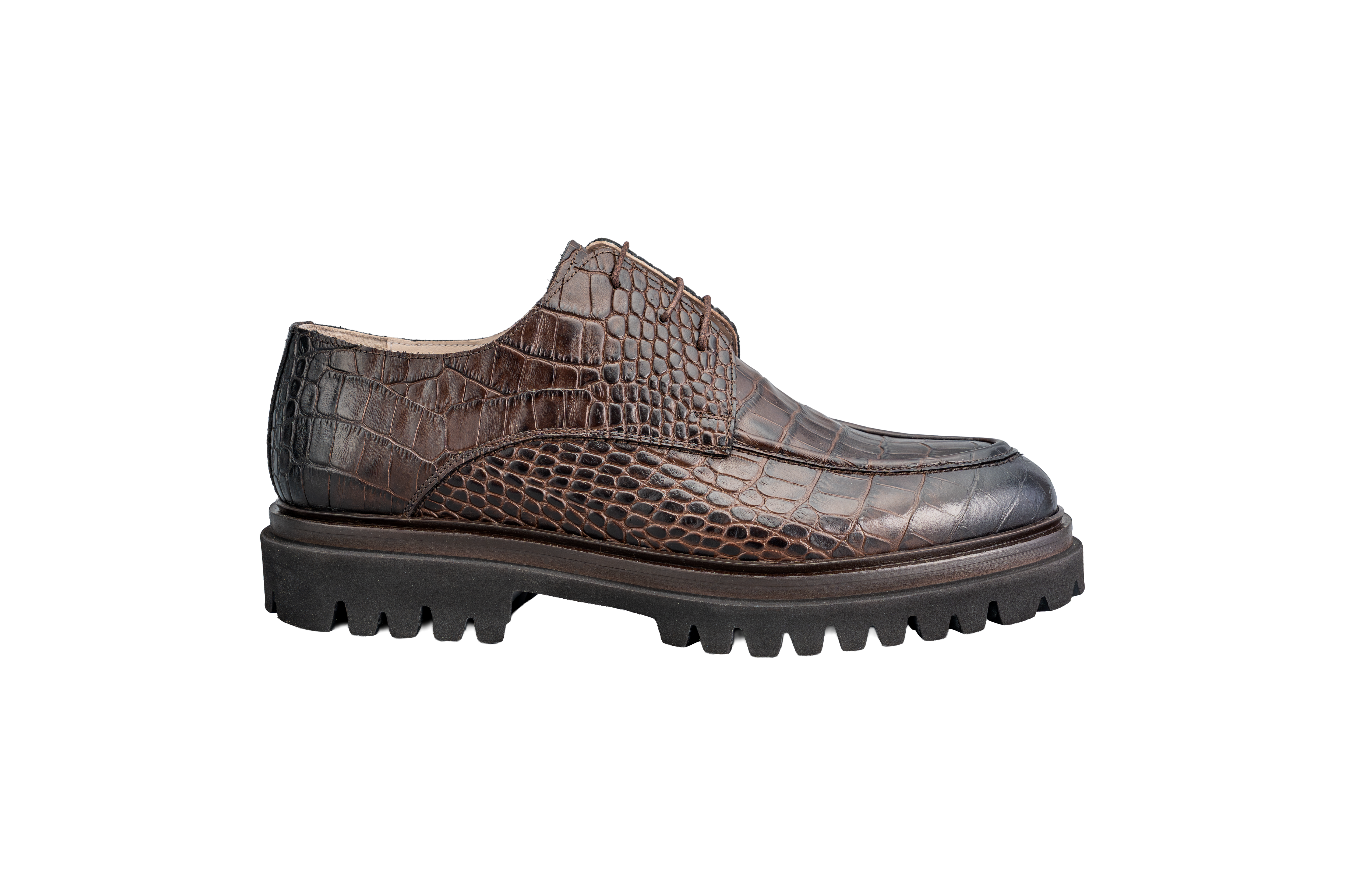 Croco Print Shoes