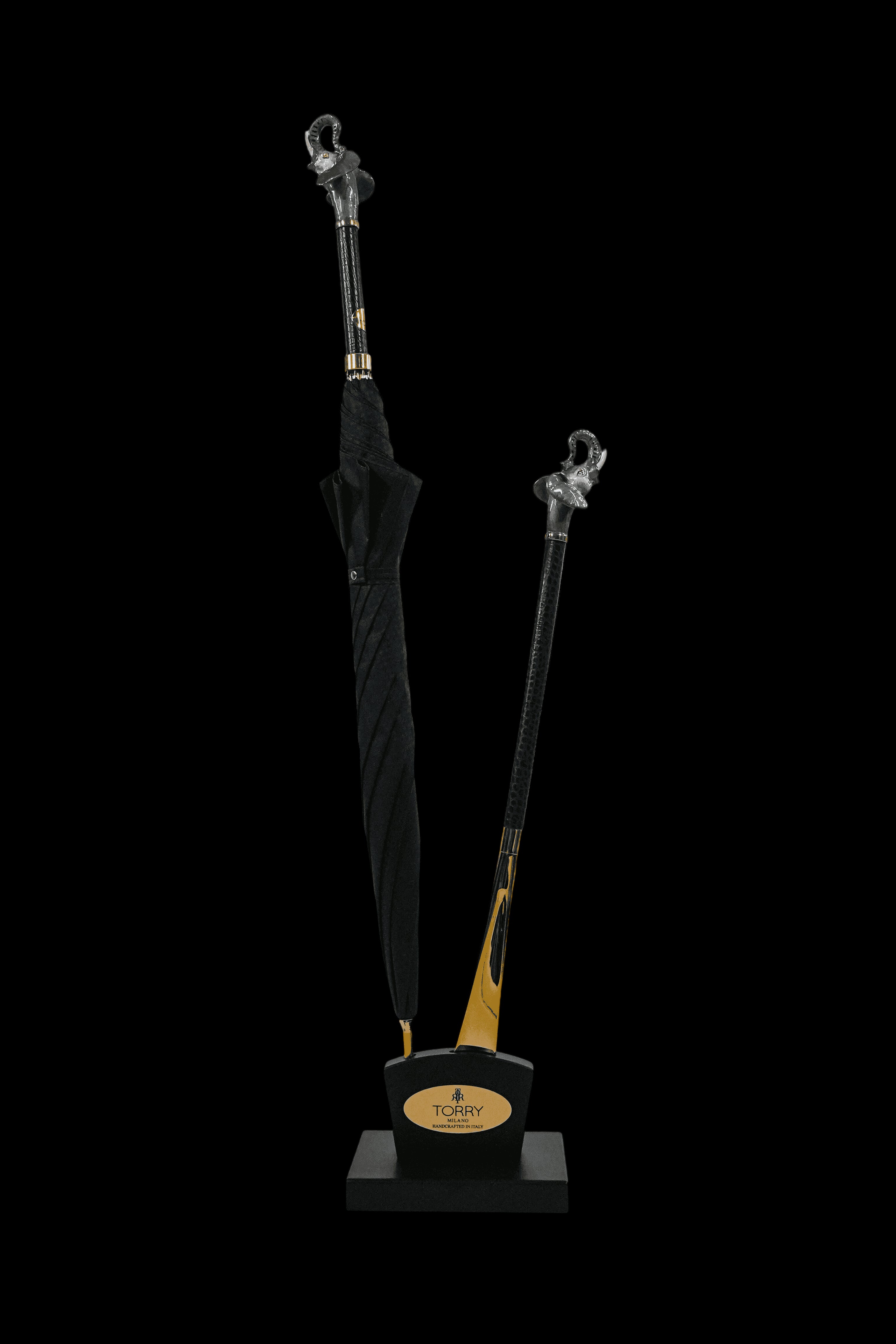 Image of Luxury Umbrella & Shoehorn Set