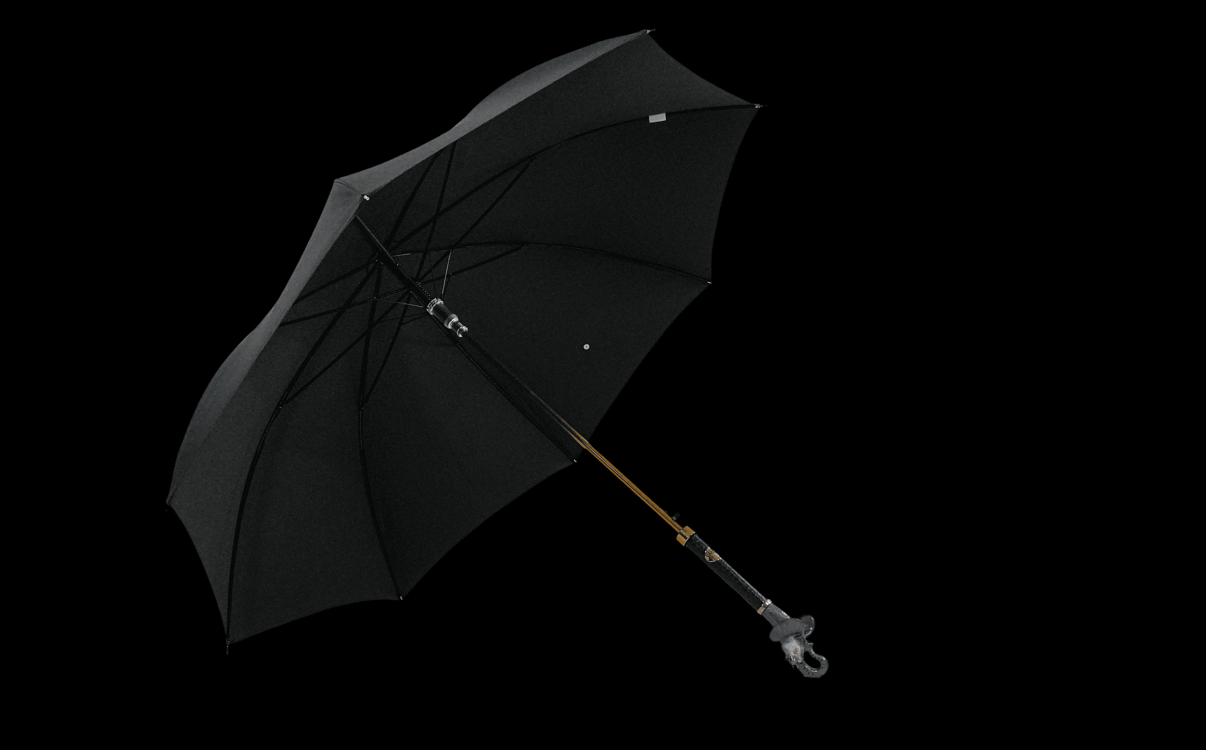 Image of Luxury Umbrella & Shoehorn Set