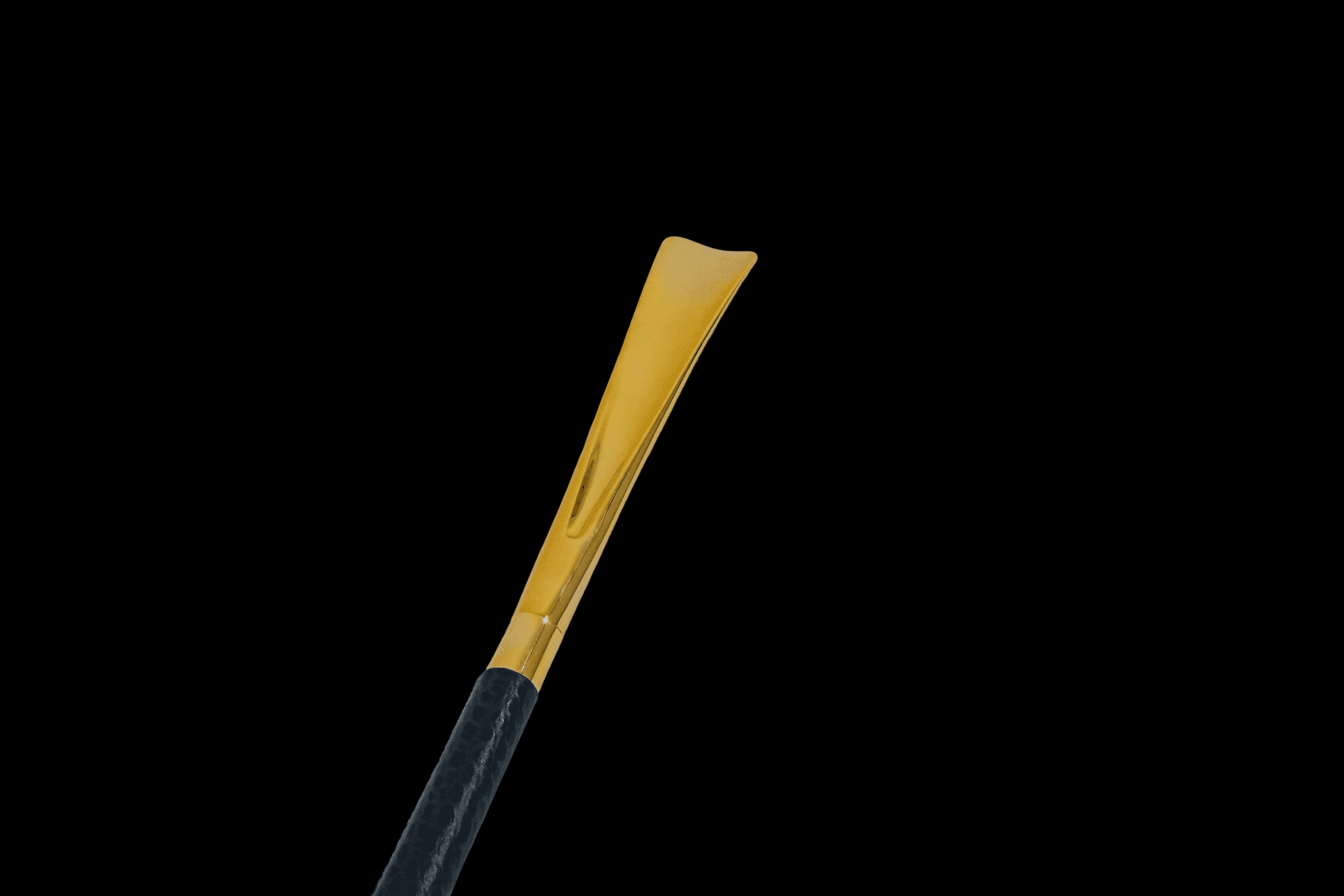 Image of Luxury Umbrella & Shoehorn Set