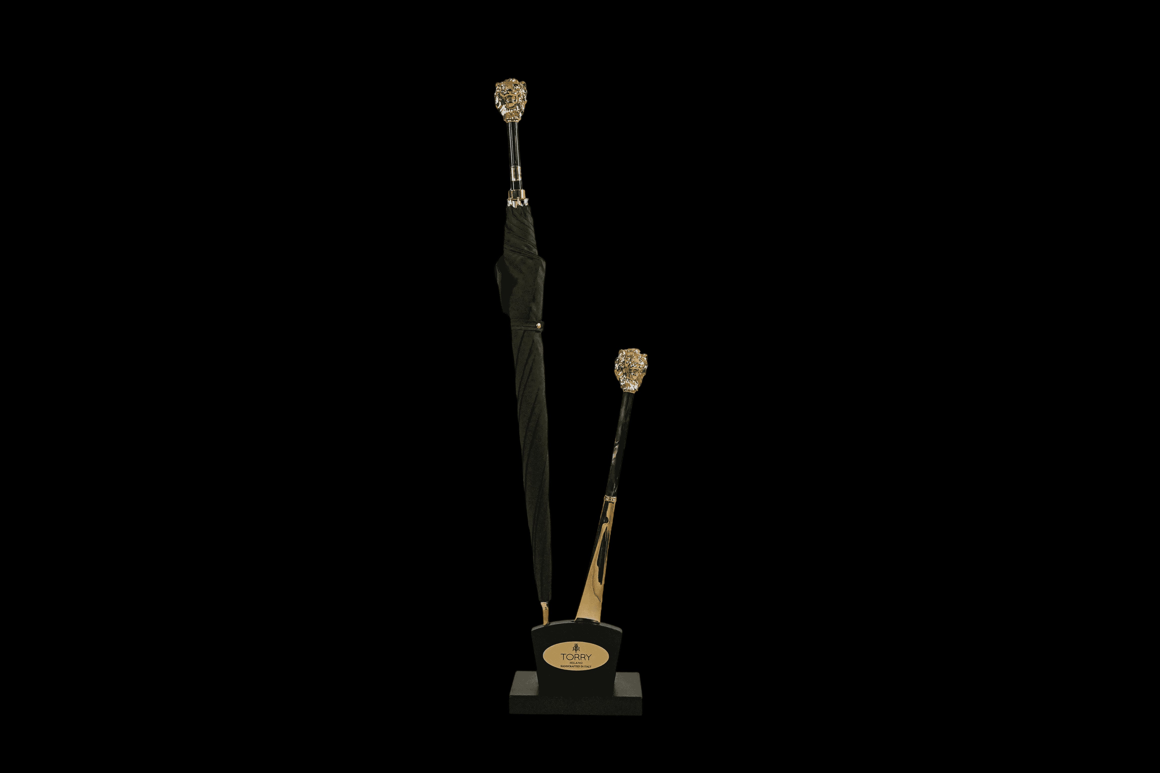 Image of Luxury Umbrella & Shoehorn Set