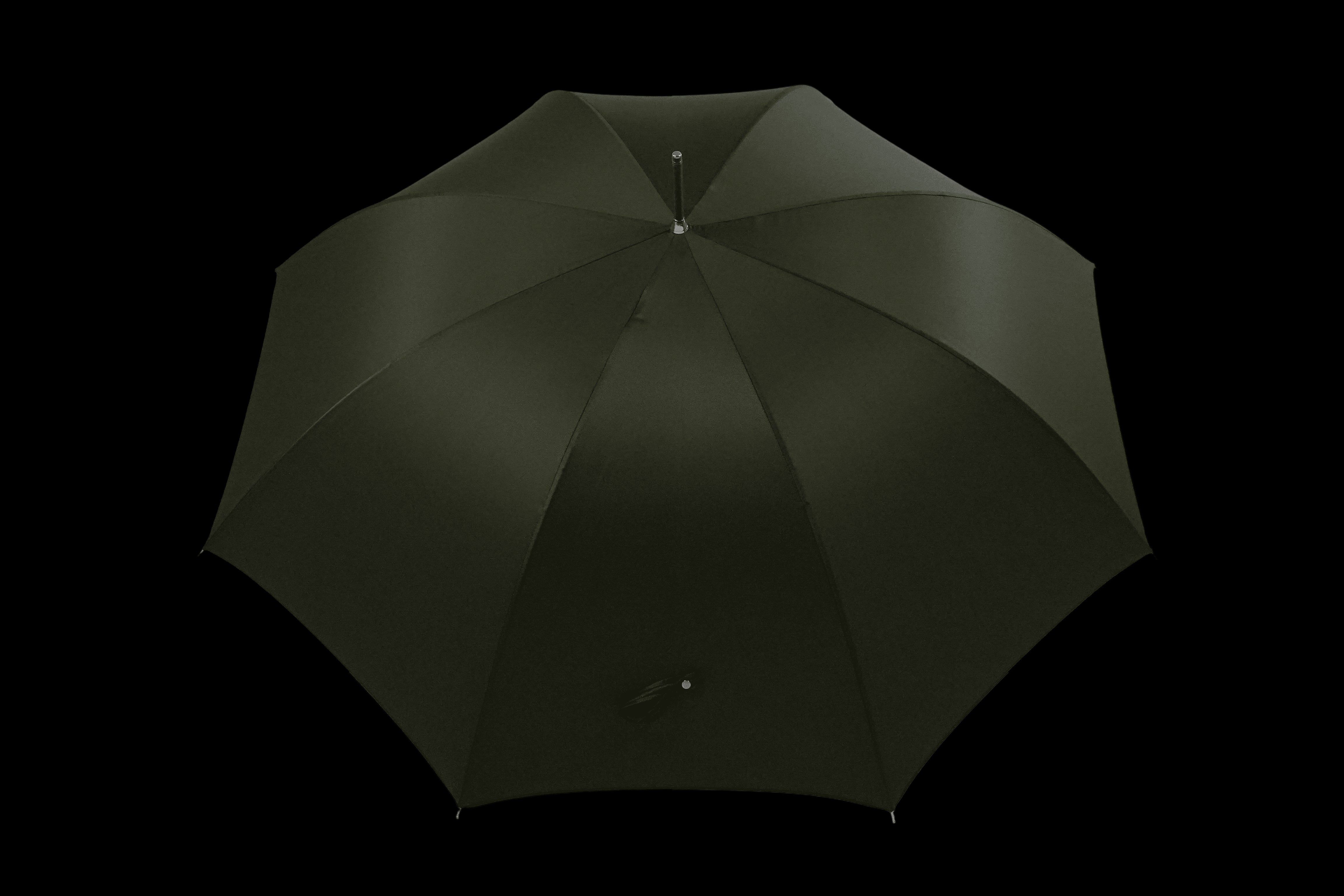 Image of Luxury Umbrella & Shoehorn Set