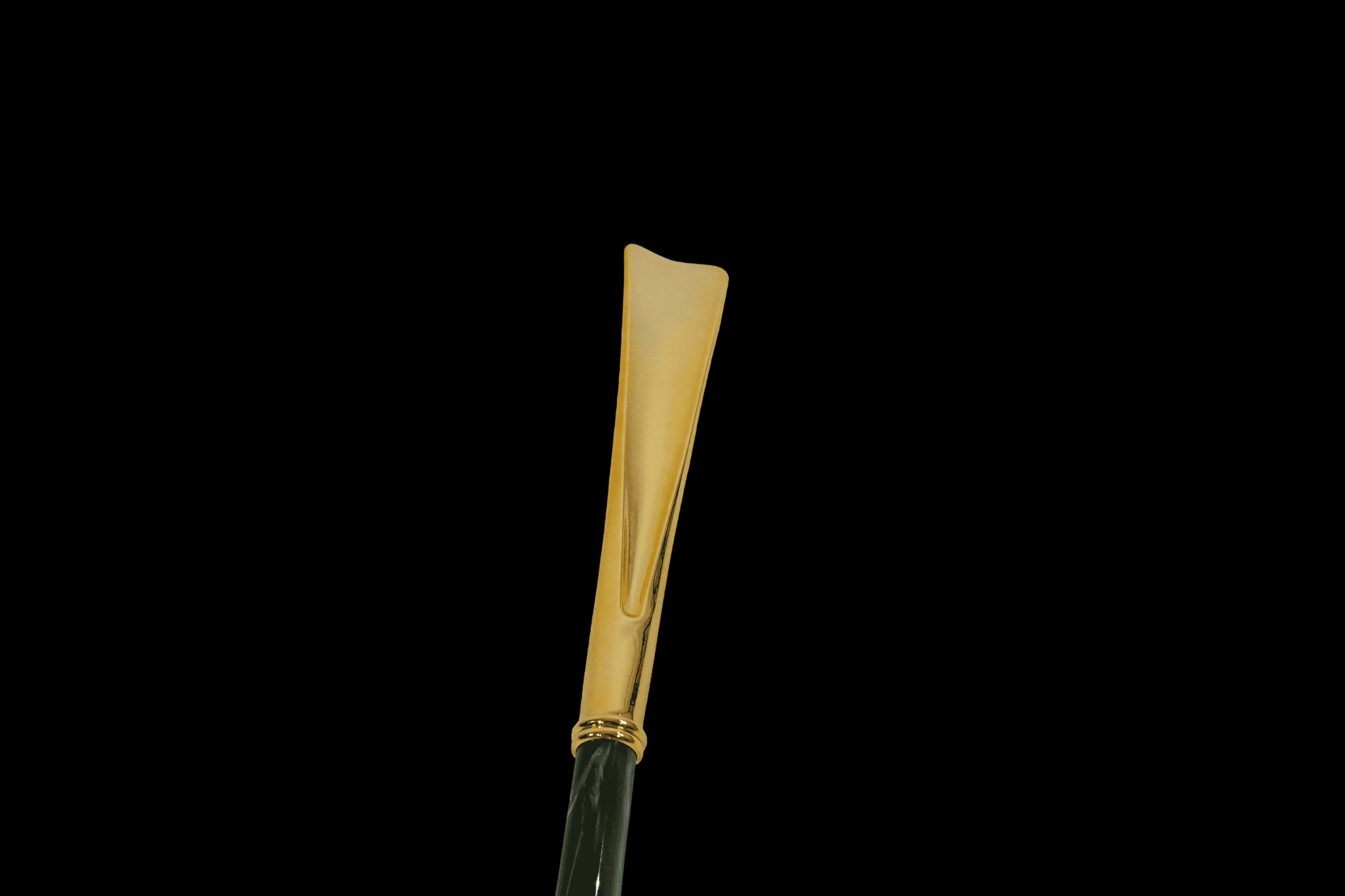 Image of Luxury Umbrella & Shoehorn Set